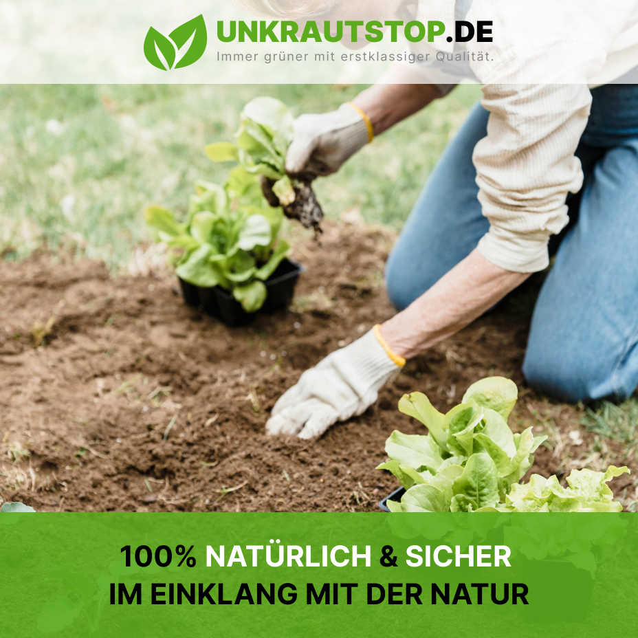 Unkrautvlies Gartenvlies Bodengewebe Unkrautfolie Mulchvlies, 100g/m², 0,8m, 250m Unkrautvlies Gartenvlies Bodengewebe Unkrautfolie Mulchvlies, 100g/m², 0,8m, 250m